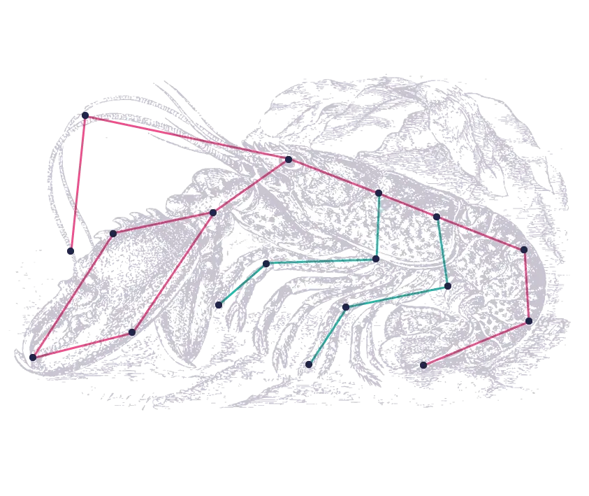 Woodcut Illustration Lobster Dots