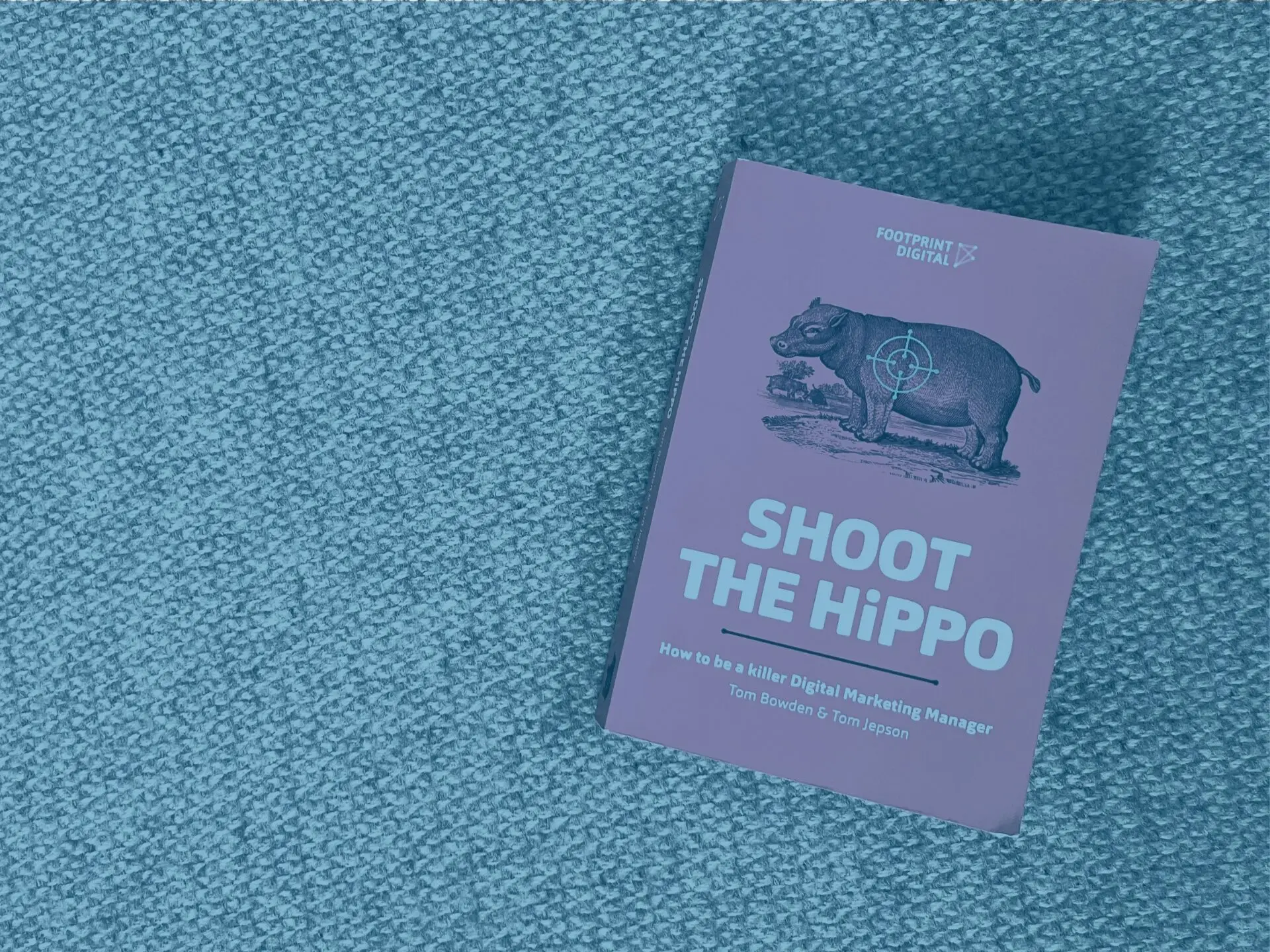 Blue shoot the hippo book photo