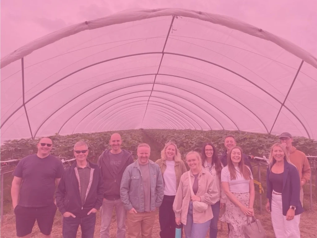 Pink image overlay on group photo at Tiptree farm standing outside a strawberry polytunnel